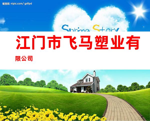 江门市飞马塑业有限公司